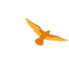 Altair CM360