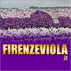 Firenze Viola