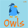 Owls CCRI