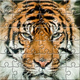 Puzzle Zoo