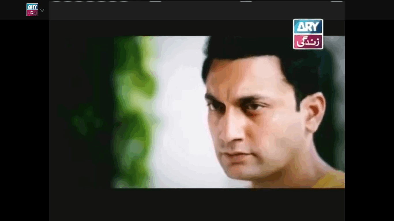 ARY Digital Network Live for Windows 10