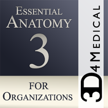 Essential Anatomy 3 for Organizations