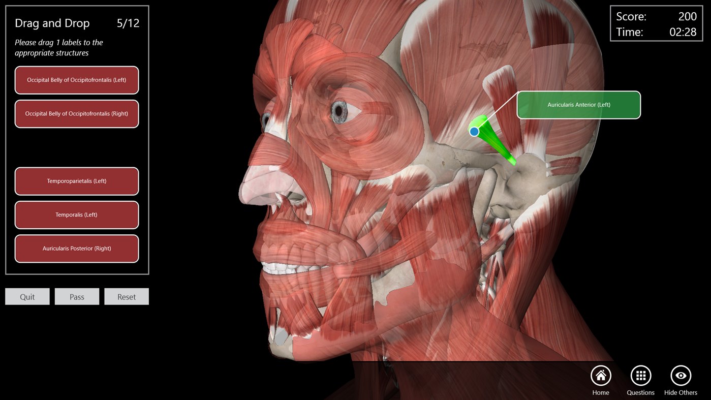 #8. Essential Anatomy 3 for Organizations (Windows) 由: 3D4Medical