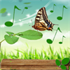 Sounds of nature