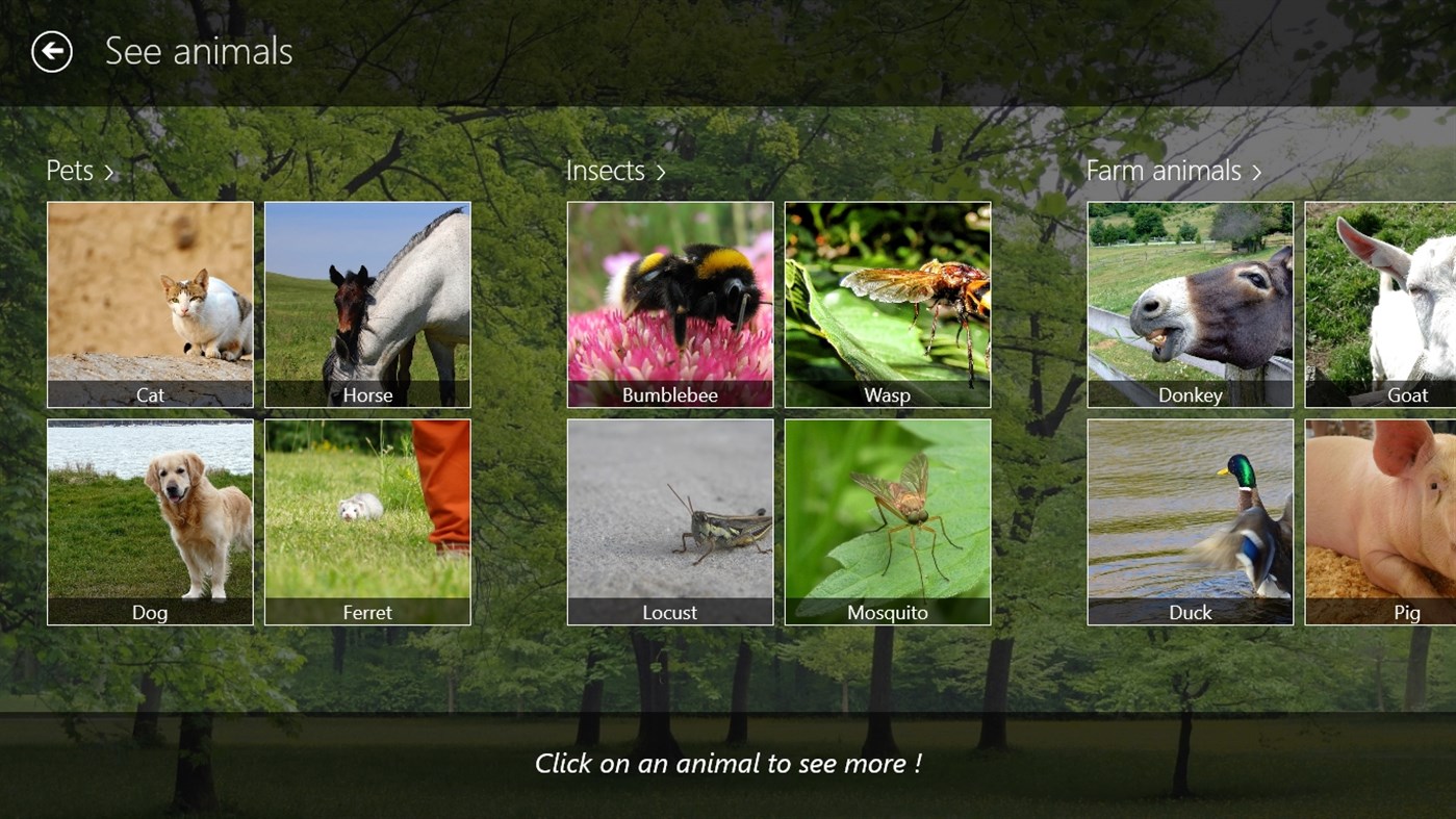 #1. Who's who of animals (Windows) 게시자: Cedric Le Penmelen
