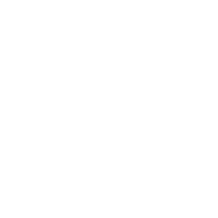 UBIK