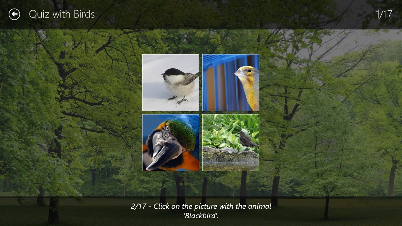 #6. Who's who of animals (Windows) 게시자: Cedric Le Penmelen