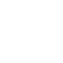 Bridge Defence