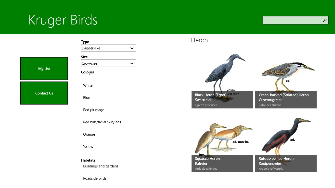 Types of Birds. Seed Types for Birds. Birds Heron Cards English for children.