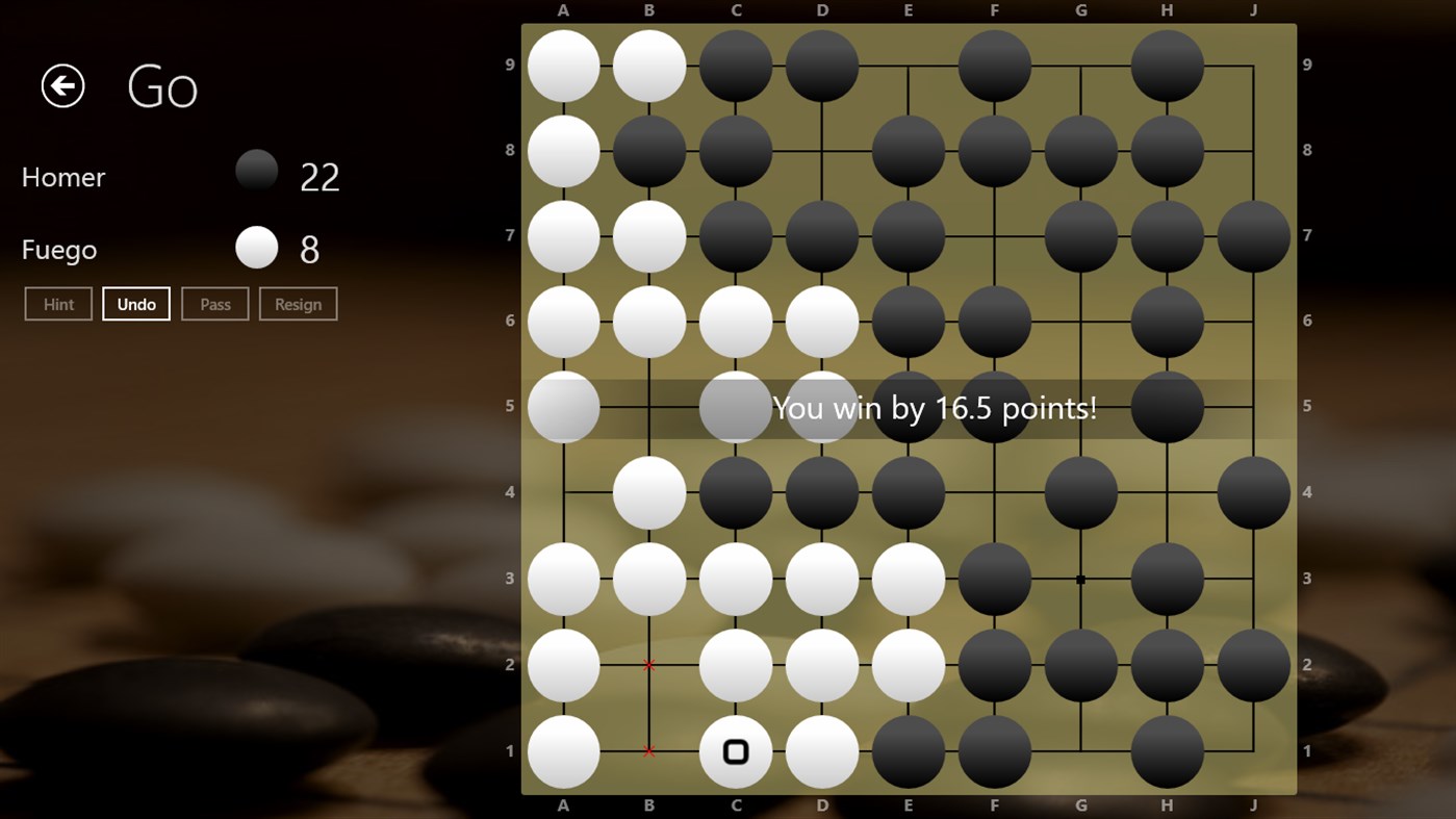 #4. The Game of Go (Windows) Podle: Chris Bordeman