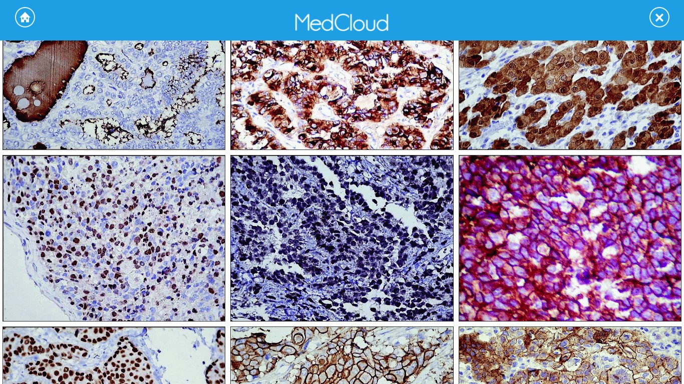 השג את Medcloud Microsoft Store He Il