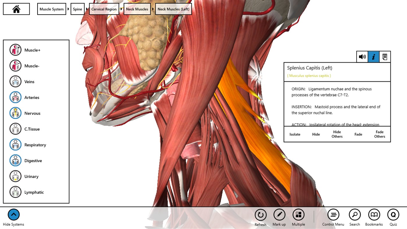 #4. Essential Anatomy 3 for Organizations (Windows) 由: 3D4Medical