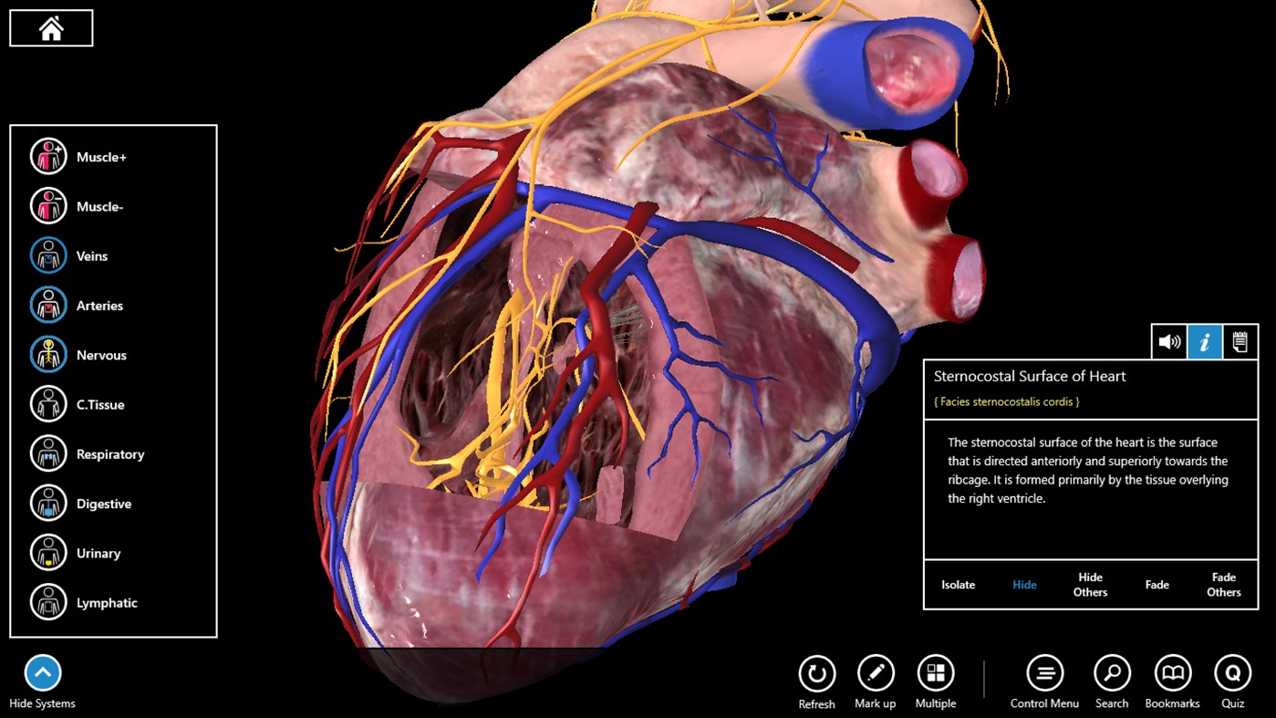 #6. Essential Anatomy 3 for Organizations (Windows) 由: 3D4Medical