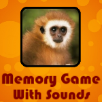 Memory Game With Sounds