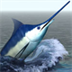 iFishing Saltwater For Tablets