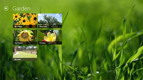 Green Garden Screenshots 2