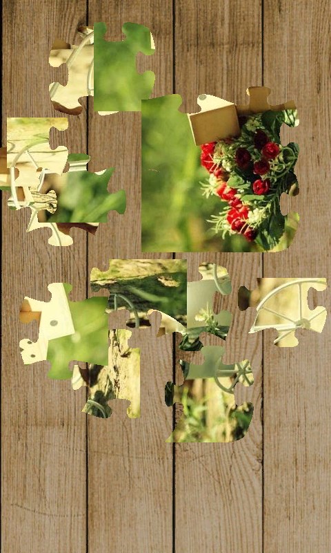 Captura 5 Flower Puzzle windows