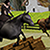 Horse Riding Adventure
