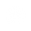 大麦