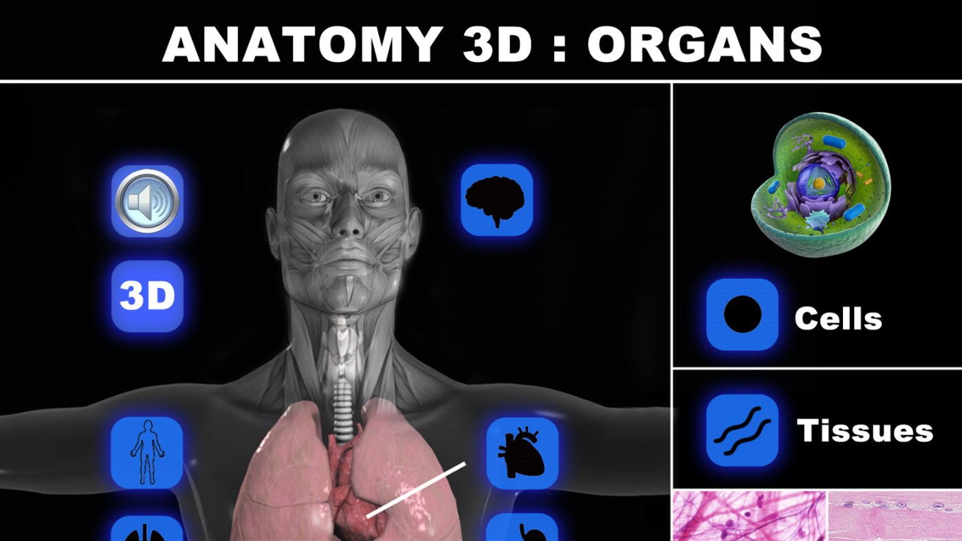 #1. Anatomy 3D: Organs (Windows) Podle: Real Bodywork