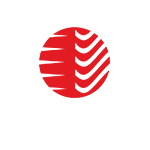 SAIGOL Audit Client