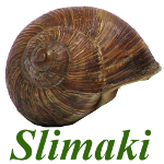 Slimaki