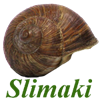 Slimaki