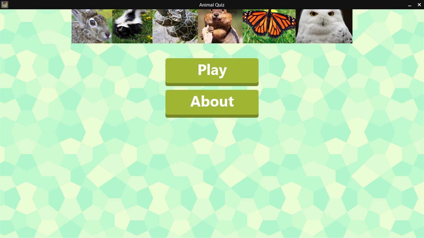 Квиз животные. Приложения с животными. Animal Quiz. Зеленый дизайн приложения с животными. Animal Quiz game.