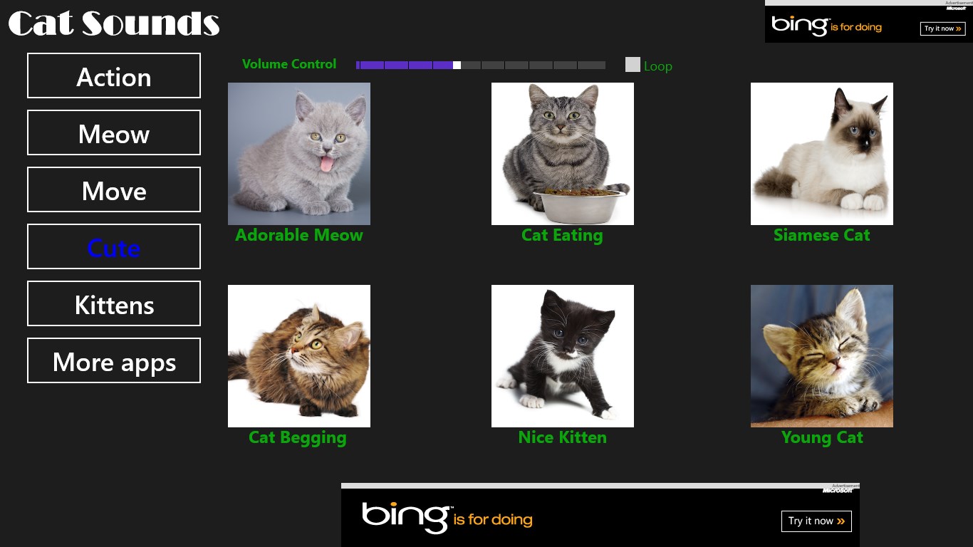 Игры звуки котов. Приложение для кошек. Кот виндовс 8. Cat Windows игра. Meow Cat игра.