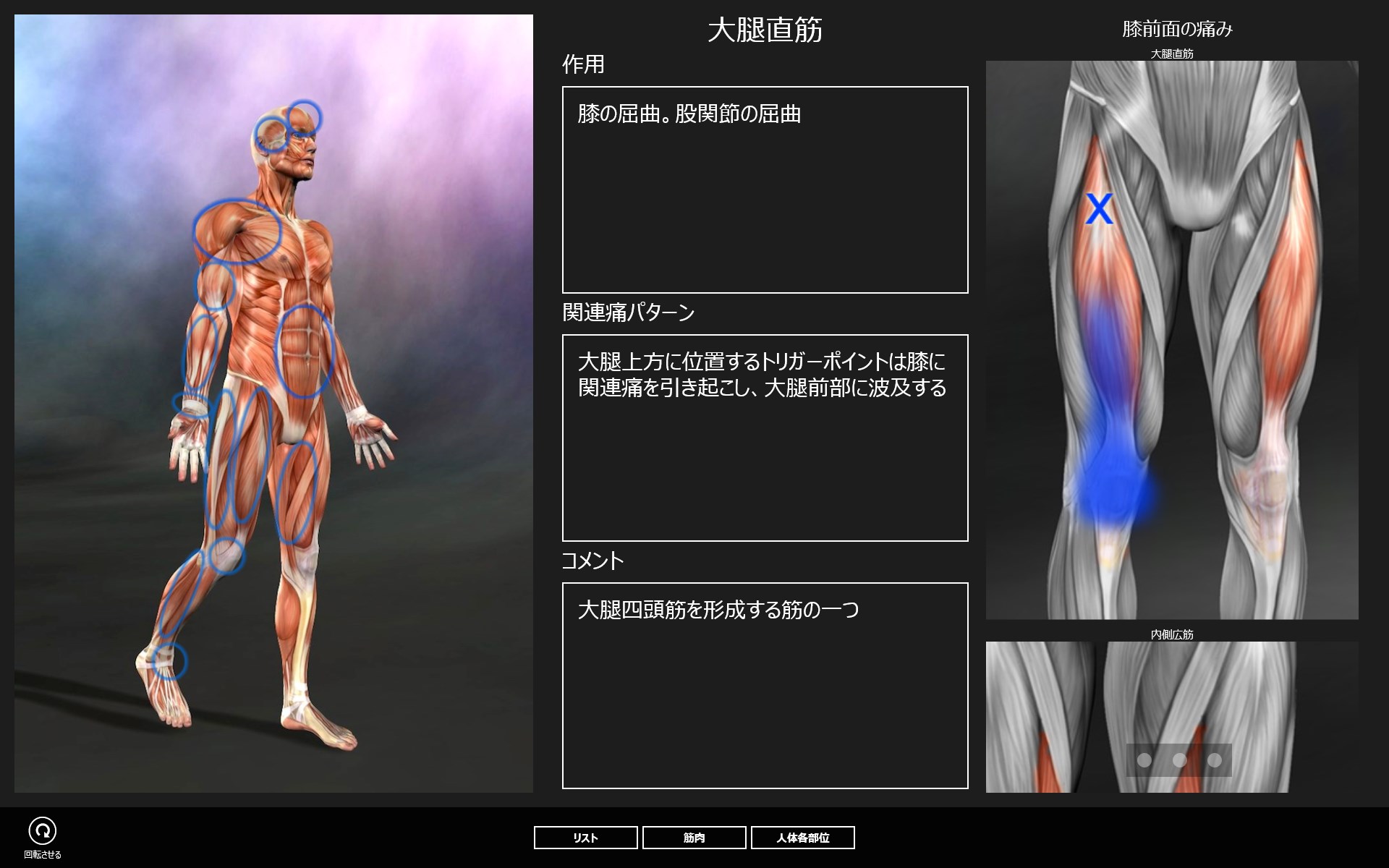 Muscle Trigger Points - Windows にダウンロードして