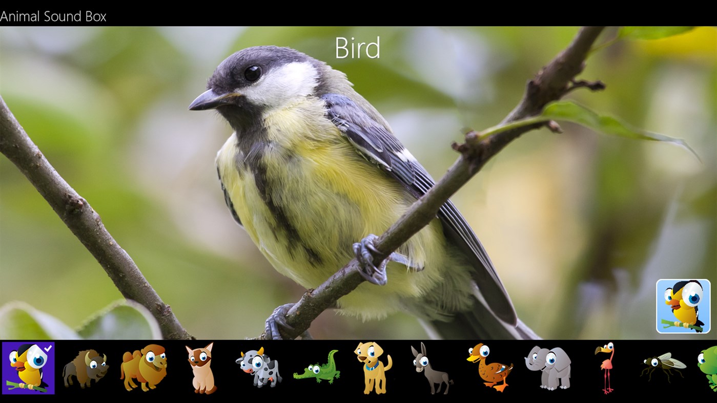 #1. Animal Sound Box (Windows) Podle: Eric LE ROY