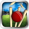 Cricket Run Out 3D