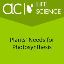 AC Life Science: Plants' Needs for Photosynthesis