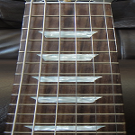 Electric Guitar Fretboard Addict