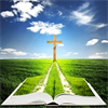 Kinh Thánh - The Bible In Vietnamese