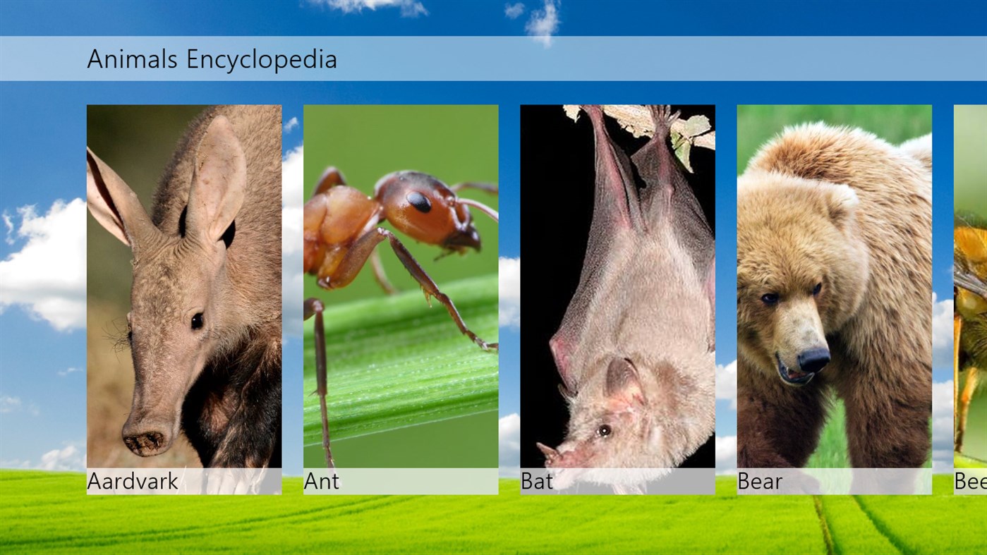 #1. Animals Encyclopedia (Windows) Ved: leehy