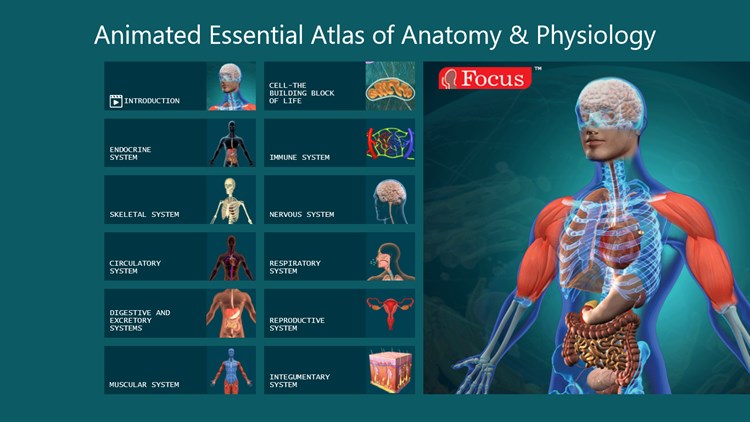 Anatomy Atlas - Animated - PC - (Windows)
