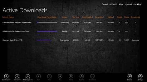 Torrent RT Screenshots 1