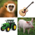 Animal, Instrument & Vehicle Sounds