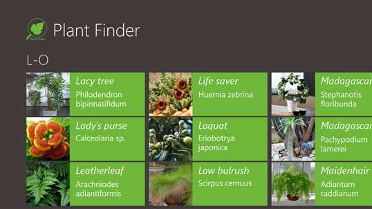 Plant Finder screenshot 4