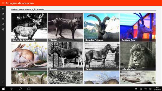 Extinções da nossa era screenshot 1