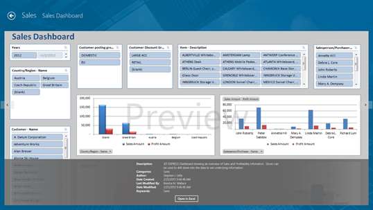 Jet Reports Player for Microsoft Dynamics® NAV screenshot 3