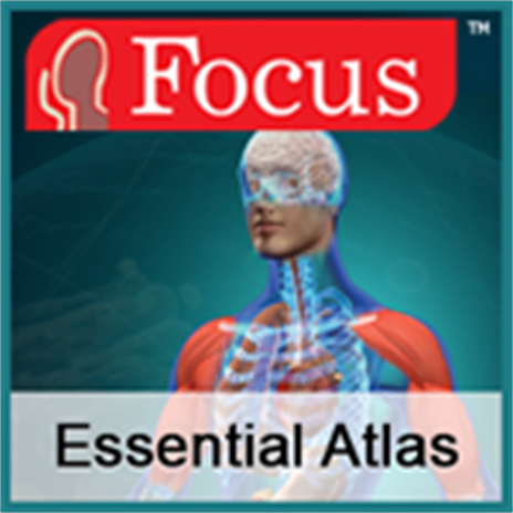 Anatomie - Atlas 3D - Anatomy 3D Atlas – Microsoft Apps