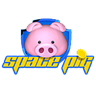 SpacePig