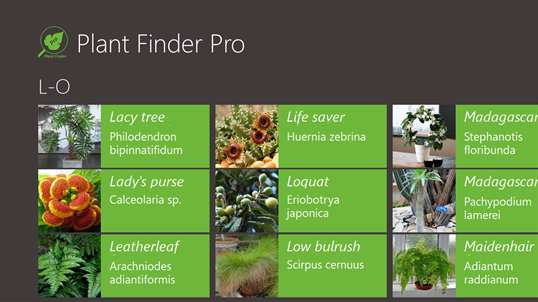 Plant Finder Pro screenshot 4