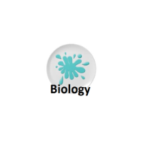 Biology Splashcards