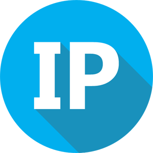 IPGrab.org - The best IP Grabber!