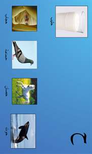 My First Book of Arabic screenshot 4