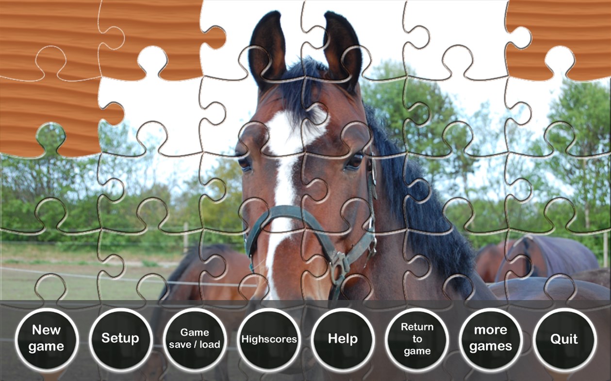 #1. Puzzle Horses (Windows) Podle: abramedia