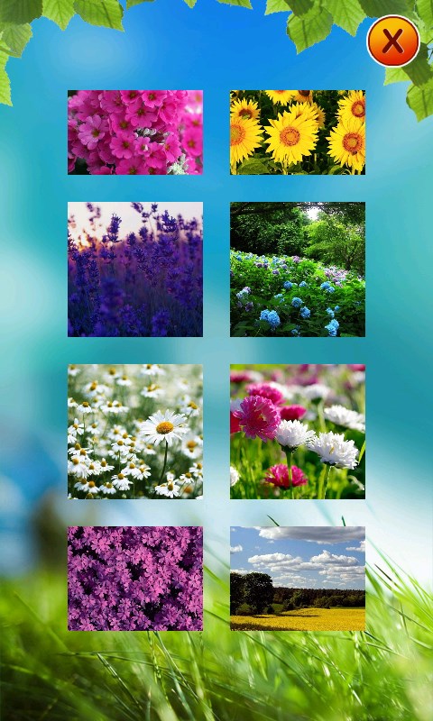 Imágen 2 Flower Puzzle windows
